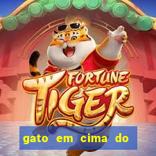 gato em cima do telhado significado espiritual